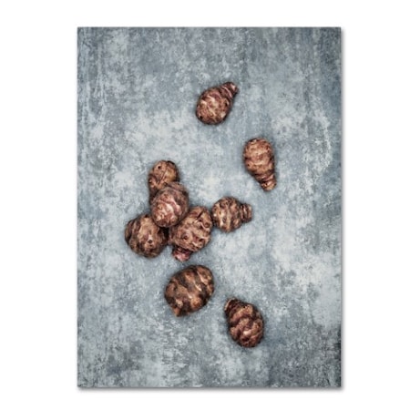 Trademark Fine Art Johanna 'Jerusalem Artichokes' Canvas Art, 14x19 1X00752-C1419GG